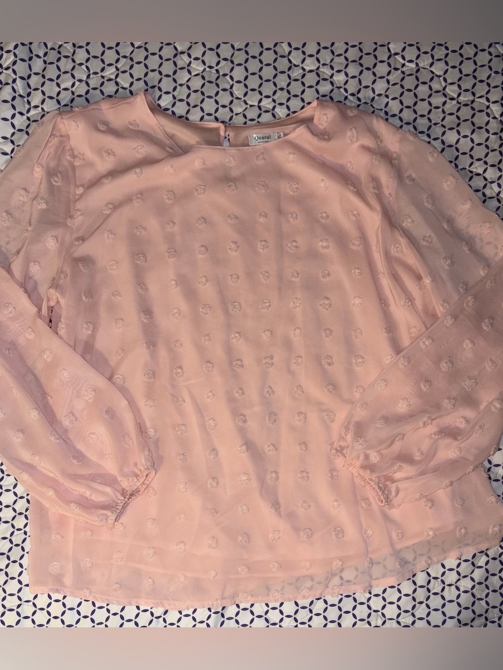 Qearal Blush Pink Sheer Floral Mesh Long Sleeve Top – Size XXL